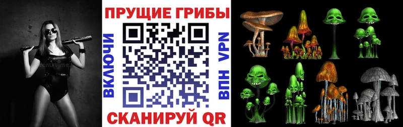 как найти закладки Кулебаки Галлюциногенные грибы мицелий
